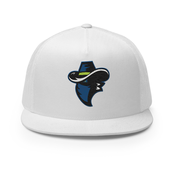 Chicago Bandits Baseball