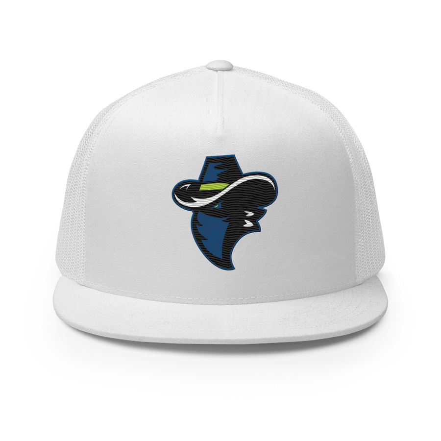 Chicago Bandits Baseball (Chicago, IL)