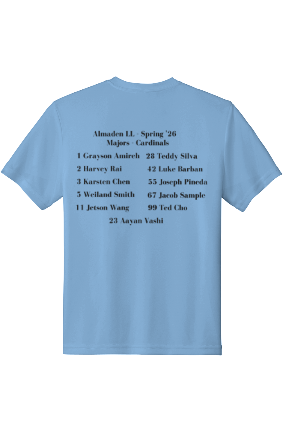Youth Almaden LL Practice Posicharge Competitor Tee
