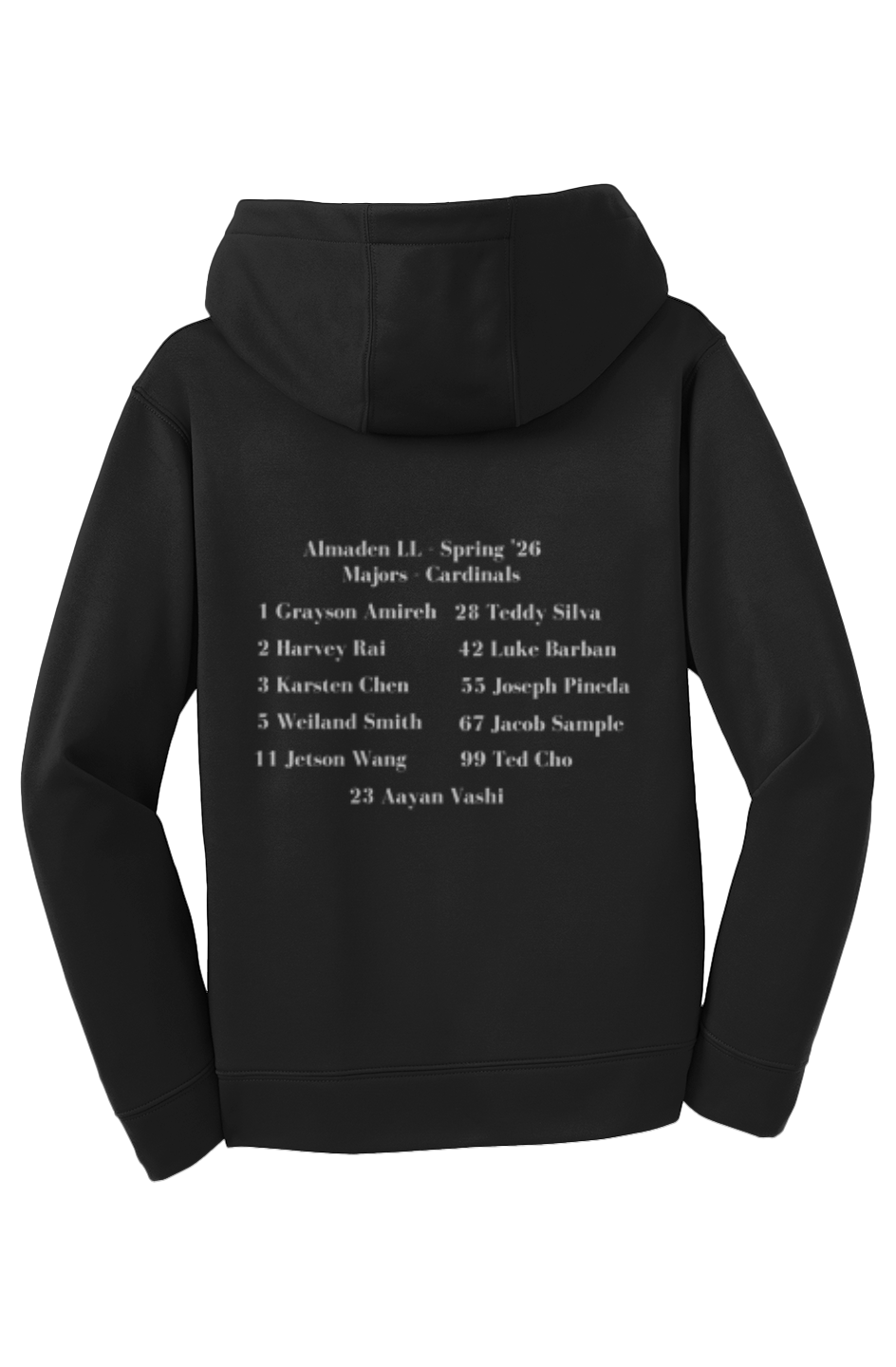 Almaden Youth Hoodie