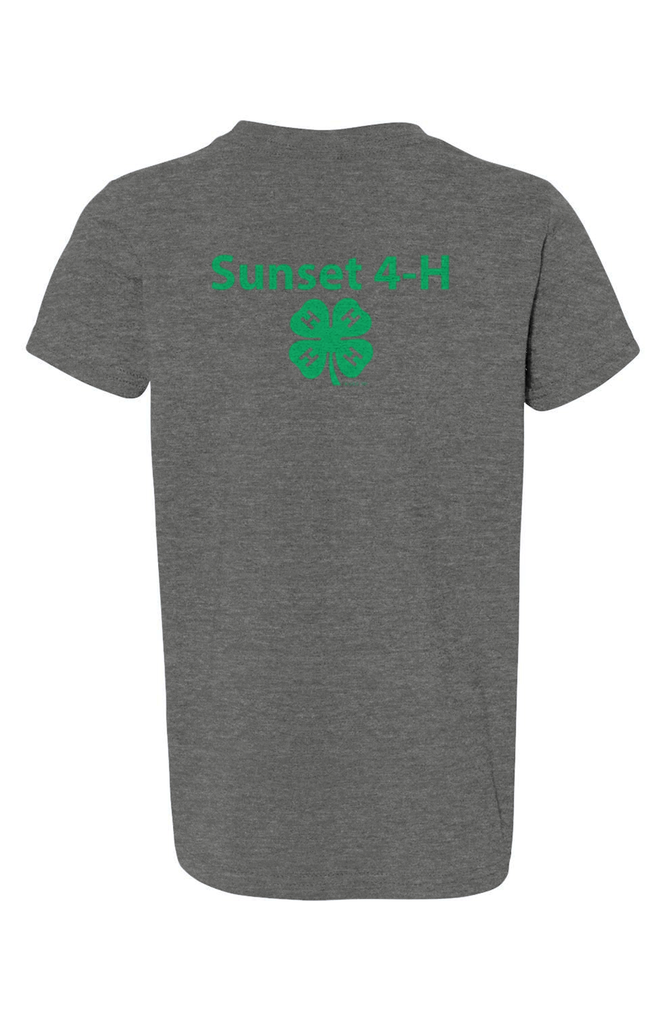 Youth Sunset 4-H CVC Jersey Tee