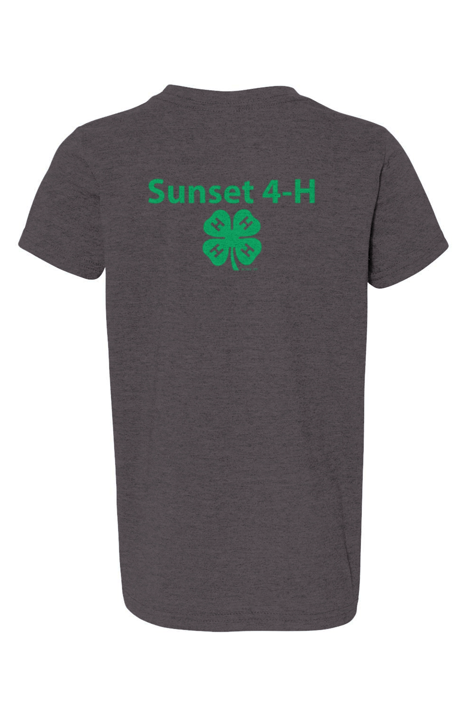Youth Sunset 4-H CVC Jersey Tee
