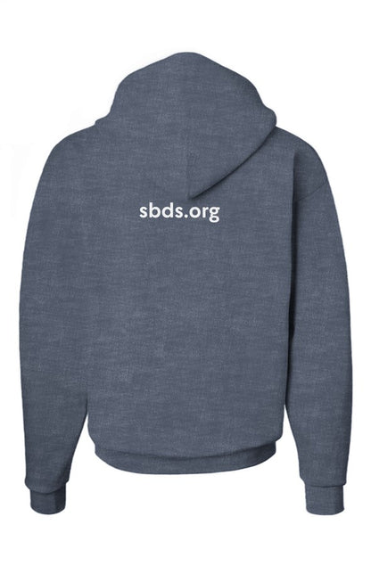 Adult South Bay Deutscher Schulverein Unisex Ecosmart Hooded Sweatshirt